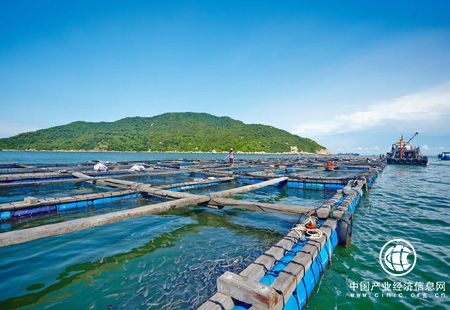 切實提高海洋經(jīng)濟意識的影響力