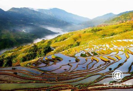 五大業(yè)態(tài)齊頭并進(jìn) 貴州走出山地貧困地區(qū)脫貧致富新路