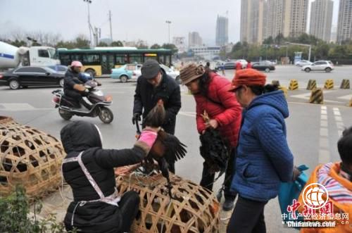 資料圖：街頭攤販。任東 攝