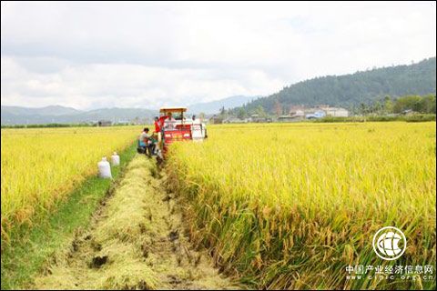 nongjihuashengchan