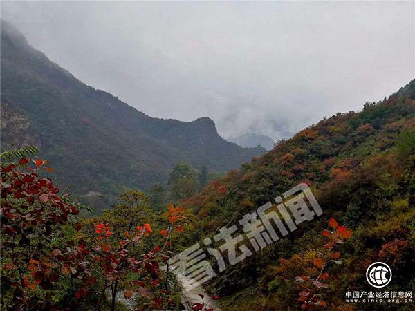 北京房山：20名驢友進(jìn)山賞紅葉被困，警方提醒沒經(jīng)驗(yàn)別爬野山