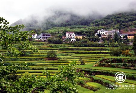 生態(tài)建設與耕地保護豈能顧此失彼？