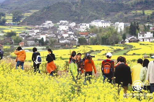 在那希望的田野：“鄉(xiāng)村游”帶“熱”假日文旅市場