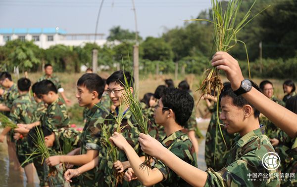 教育部：綜合實踐活動課程將成中小學(xué)必修課程