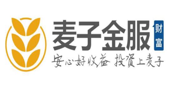 變革成就非凡價(jià)值 麥子金服蟬聯(lián)獵聘“2017上海變革非凡雇主獎”