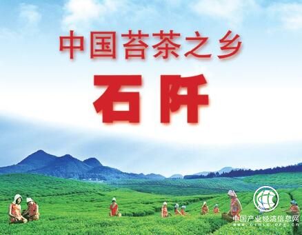 助力黔茶發(fā)展：貴州石阡選拔苔茶代言人