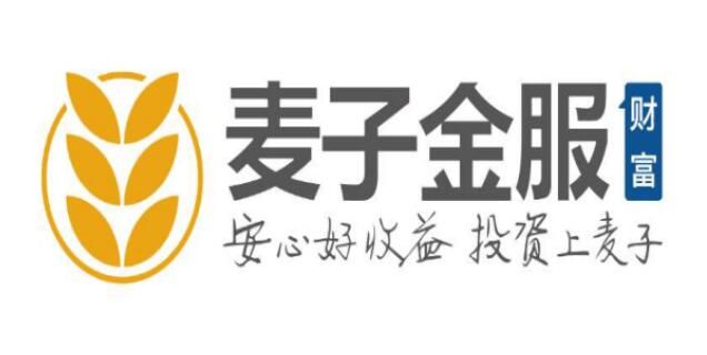 麥子金服：公司未開展“現(xiàn)金貸”業(yè)務(wù) 嚴守風控審核關(guān)卡