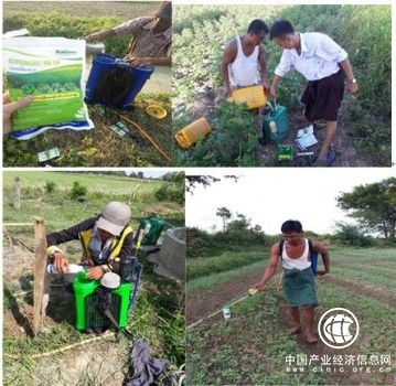 潤(rùn)豐股份：腳踏實(shí)地，緬甸品牌推廣“走得穩(wěn)”