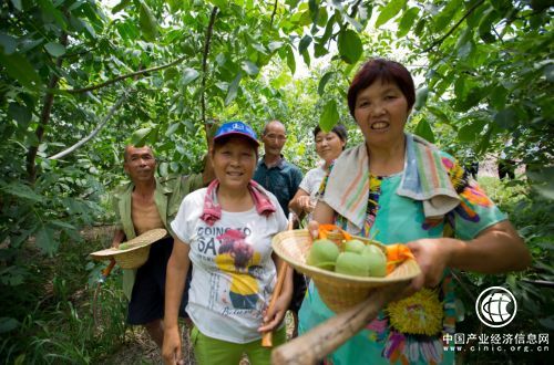 拼多多助農(nóng)年報：精準(zhǔn)扶貧不唱獨角戲