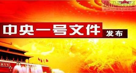 中央一號文件鎖定兩大重點任務(wù) 提出27條硬舉措