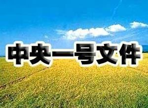 2021年中央一號文件公布 提出全面推進(jìn)鄉(xiāng)村振興