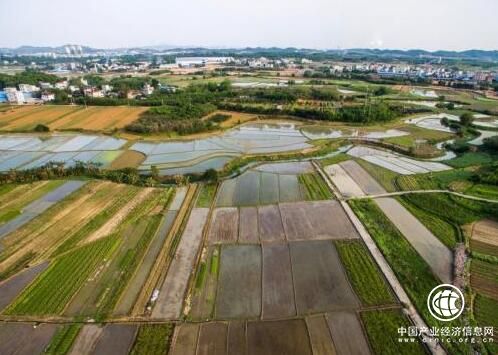 財政部回應：耕地輪作休耕試點如何保證農民不吃虧