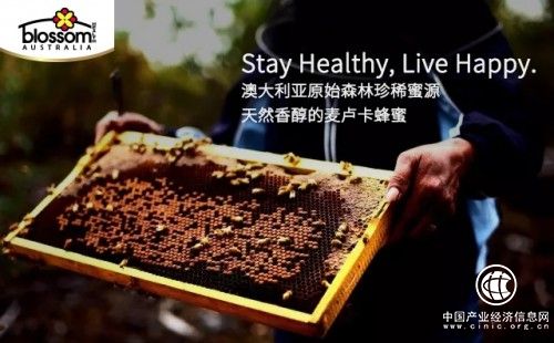 澳洲Blossom Health麥盧卡蜂蜜成游客必備手信