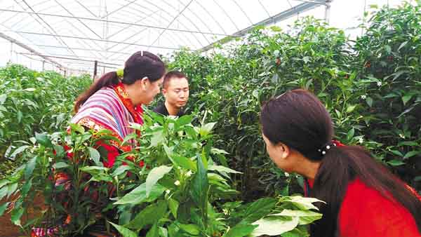 3月下旬以來江蘇各地“菜籃子”生產(chǎn)供應(yīng)充足 近七成鮮菜價(jià)格以降為主