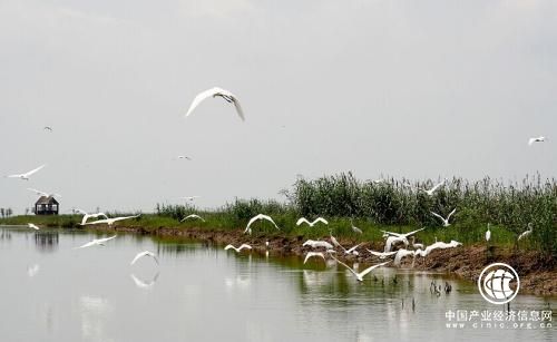 山西發(fā)布生物多樣性保護戰(zhàn)略與行動計劃