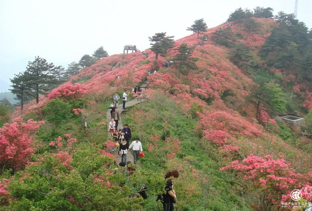 5月，各路越野高手云集崀山，圍觀或參戰(zhàn)？