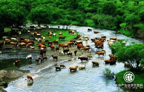 內(nèi)蒙古赤峰市：三年打造“優(yōu)質(zhì)旅游”目的地