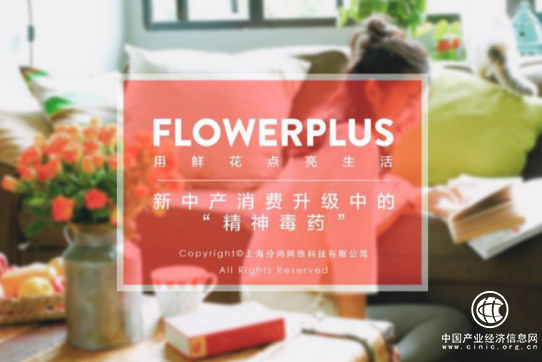 Flowerplus花加領(lǐng)跑口碑營銷標(biāo)桿企業(yè) 單月銷售最高過億 