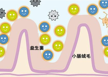 新維士益生菌：讓孩子開心 讓媽媽放心