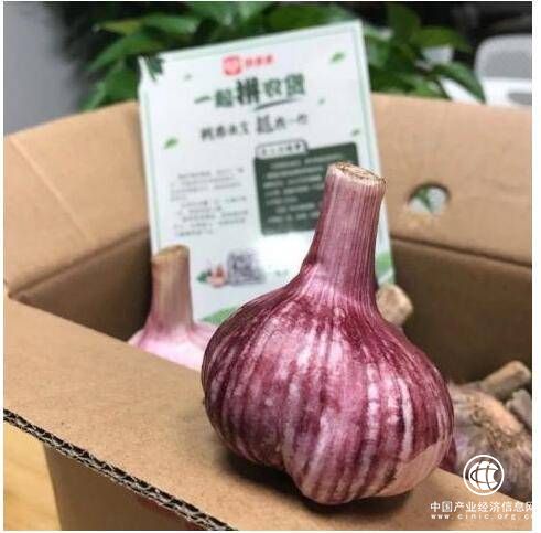 為何全國滯銷的大蒜，能在拼多多上一天賣出4.7萬單？