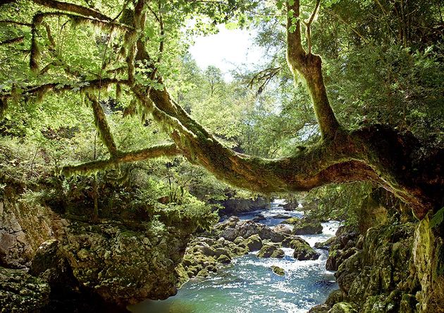 中石化旗下油庫棲身水源地一級保護區(qū)持續(xù)生產(chǎn)仍難關(guān)停