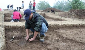 河南省建立15處典型古生物化石群落 發(fā)現(xiàn)8000余處化石點