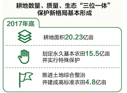 數(shù)量、質量、生態(tài)協(xié)同 耕地保護新格局基本形成