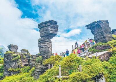 梵凈山申遺成功彰顯中國生態(tài)文明建設(shè)新成果