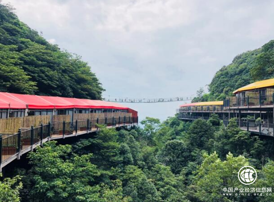 7月重慶旅游哪兒好玩？ 奧陶紀(jì)臨崖樹屋等露營地嘗鮮