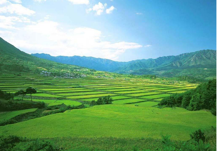 山水林田湖草海：我們的國有自然資源“大家底”值得關注