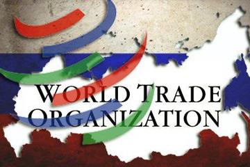 世界貿(mào)易組織（WTO）改革進(jìn)入關(guān)鍵期