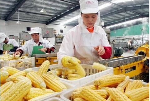 70年，我國食品工業(yè)面貌發(fā)生翻天覆地變化