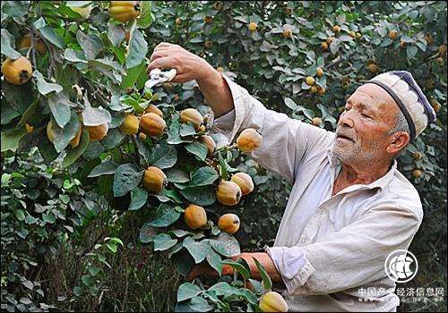 xinjiang