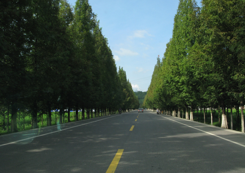 多部委醞釀農(nóng)村基建政策 多地啟動千億農(nóng)村公路改造計劃