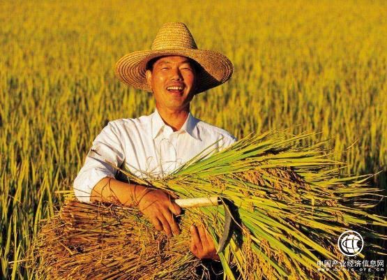 農(nóng)業(yè)農(nóng)村部副部長：品牌化方能推動新時(shí)期馬鈴薯產(chǎn)業(yè)發(fā)展