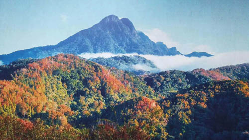 “翡翠山城”五指山，不止有好茶！