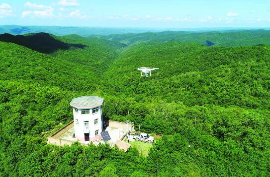 我國森林、草原、濕地生態(tài)系統(tǒng)服務功能總價值量為每年28.58萬億元