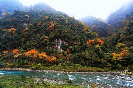 四川聚焦五大重點區(qū)域 筑牢生態(tài)屏障