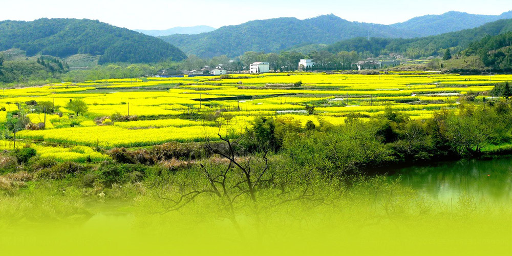 山西劃定今年鄉(xiāng)村振興重點任務