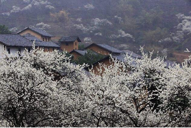 廣西融安“空巢村”變身網(wǎng)紅旅游地