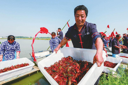 樹立大農(nóng)業(yè)觀和大食物觀 江蘇持續(xù)加大糧食省域公用品牌建設(shè)力度