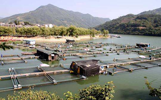 福建漳州持續(xù)推進(jìn)產(chǎn)學(xué)研融合，全面推廣水產(chǎn)優(yōu)新品種