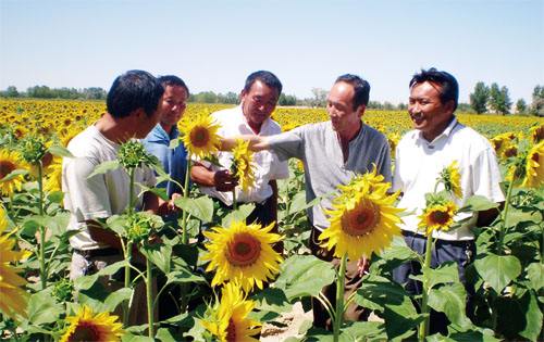 新疆建立貧困監(jiān)測(cè)預(yù)警機(jī)制 分級(jí)動(dòng)態(tài)幫扶防返貧致貧