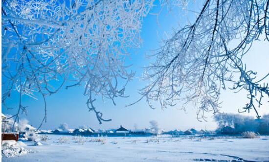 黑龍江為冰雪經(jīng)濟(jì)發(fā)展安上“標(biāo)準(zhǔn)化引擎”