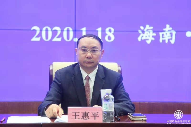 海南省財(cái)政廳廳長(zhǎng)王惠平：2020年圍繞8個(gè)民生實(shí)事做到三個(gè)