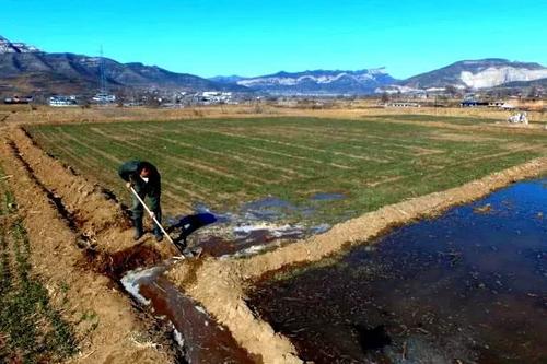 今年廣東春灌面積超600萬畝 各大中型灌區(qū)力保供水安全