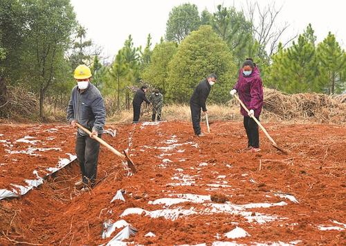 國務(wù)院扶貧辦：中西部22省計(jì)劃扶貧項(xiàng)目開工率達(dá)1/3