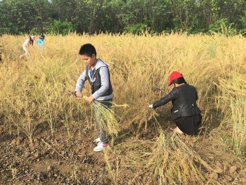 幼兒園階段適合引入勞動(dòng)教育——關(guān)于3至6歲學(xué)齡前幼兒教育的探索