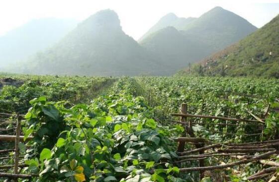 山西省設(shè)施蔬菜示范區(qū)機(jī)械化水平提高