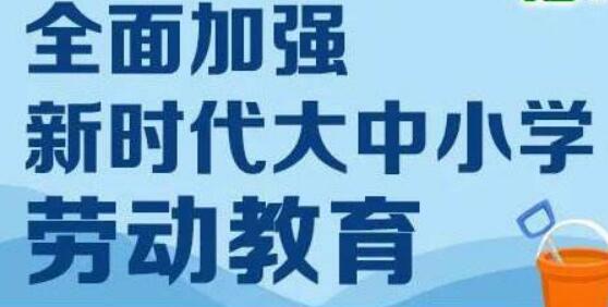 構(gòu)建新時(shí)代中國(guó)特色社會(huì)主義勞動(dòng)教育體系